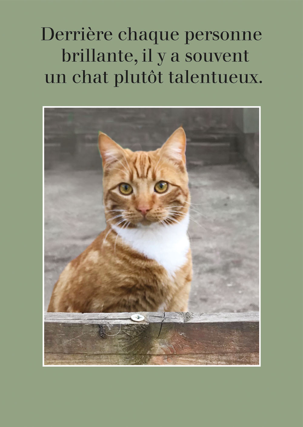 un chat plutôt talentueux