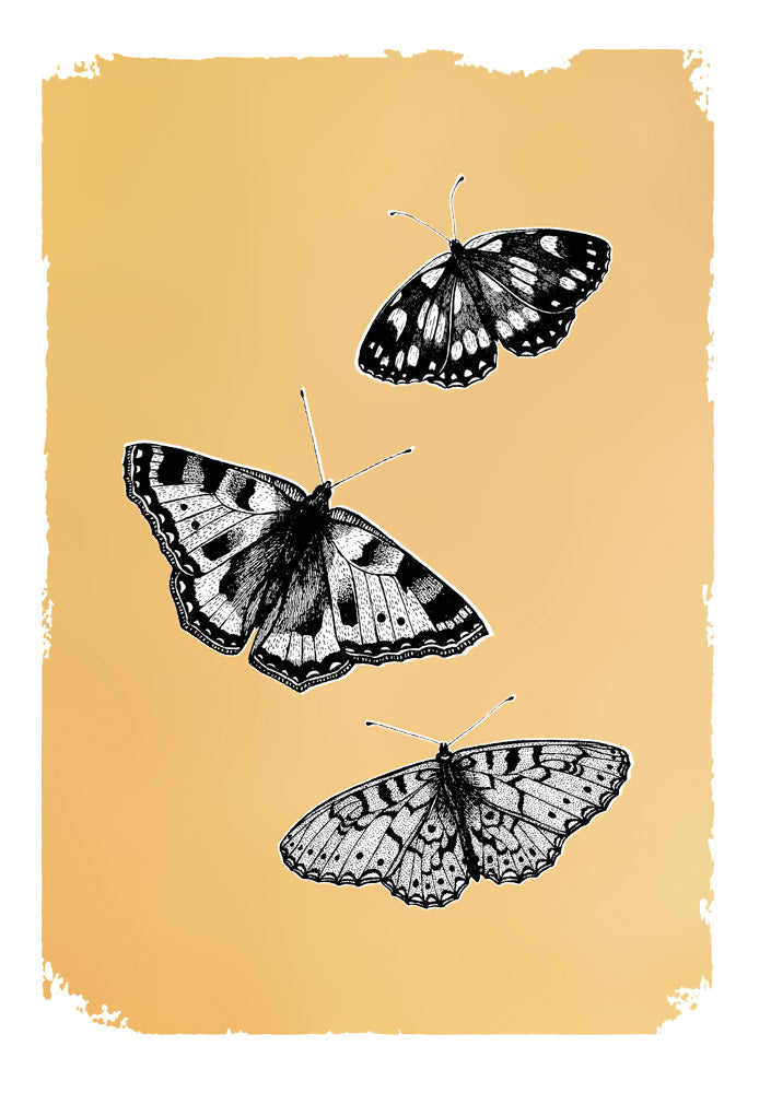 BUTTERFLIES