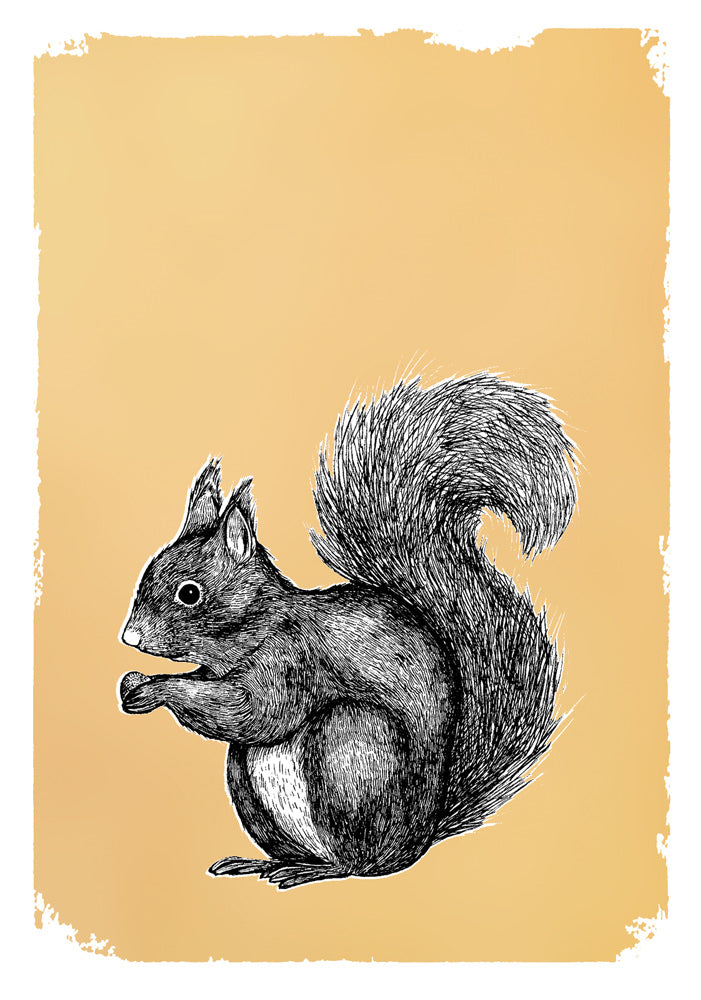 SQUIRREL