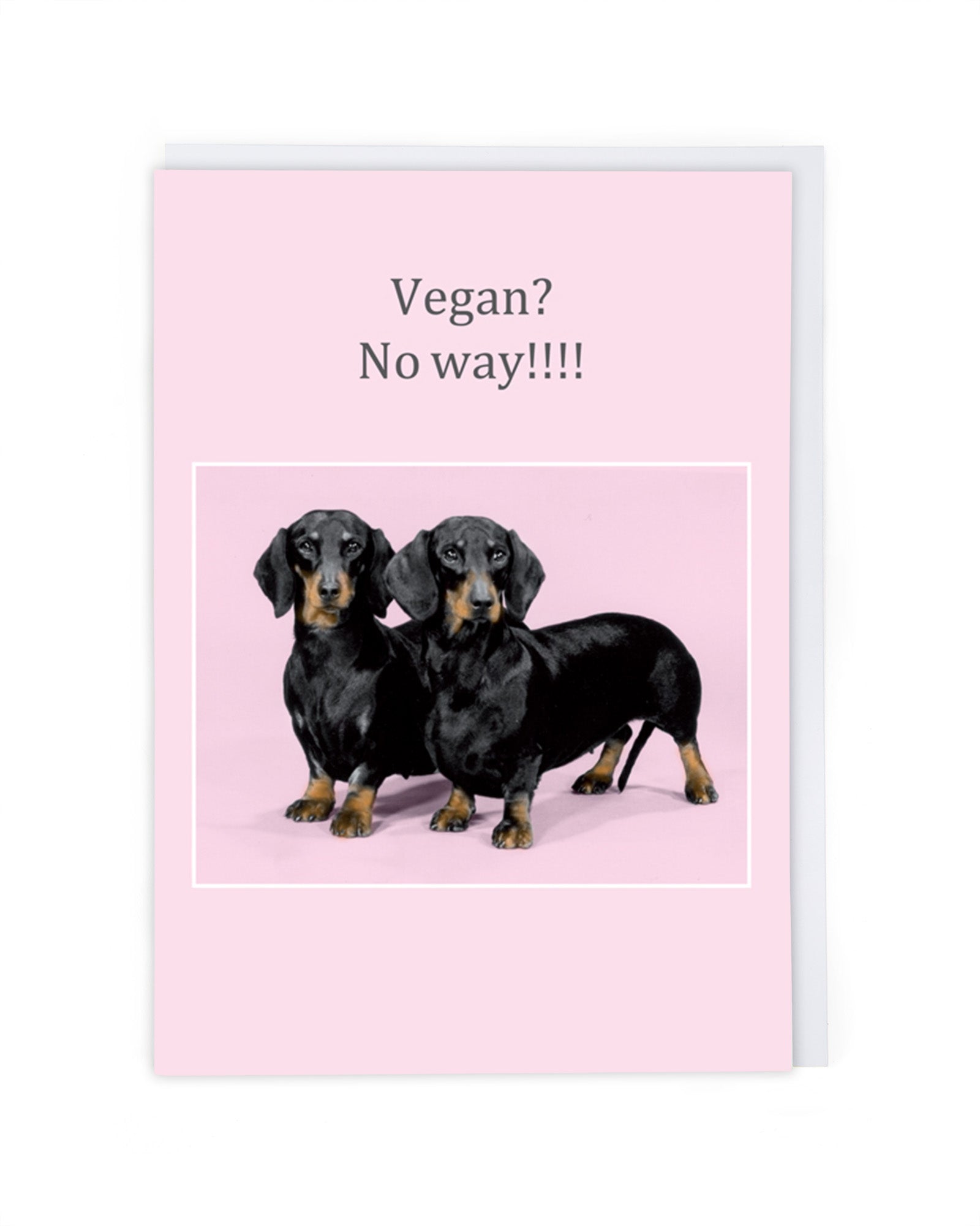 VEGAN? NO WAY!!!