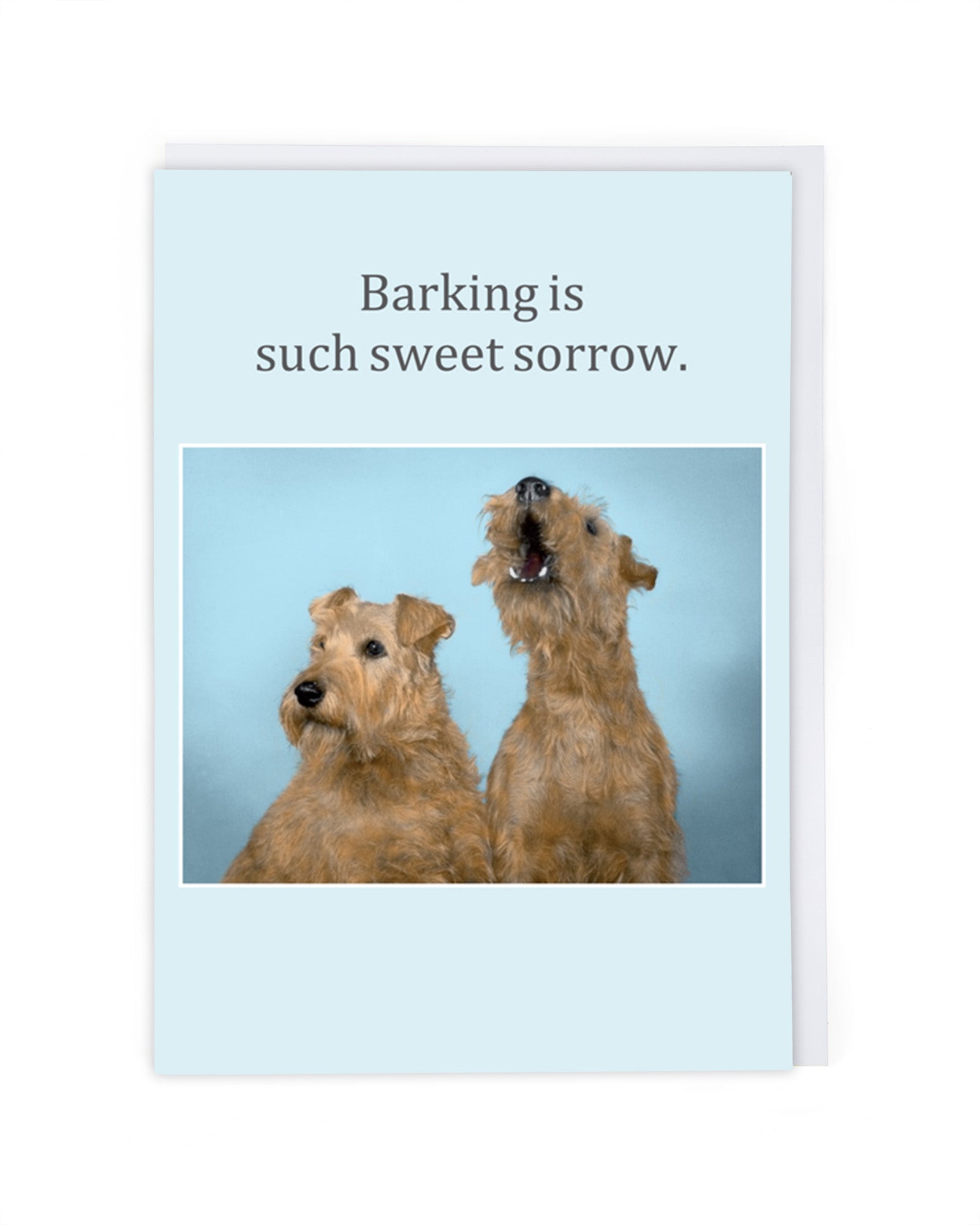 BARKING