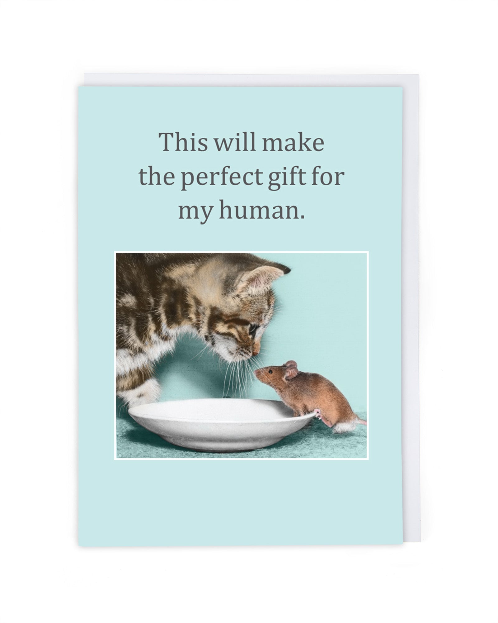 PERFECT GIFT