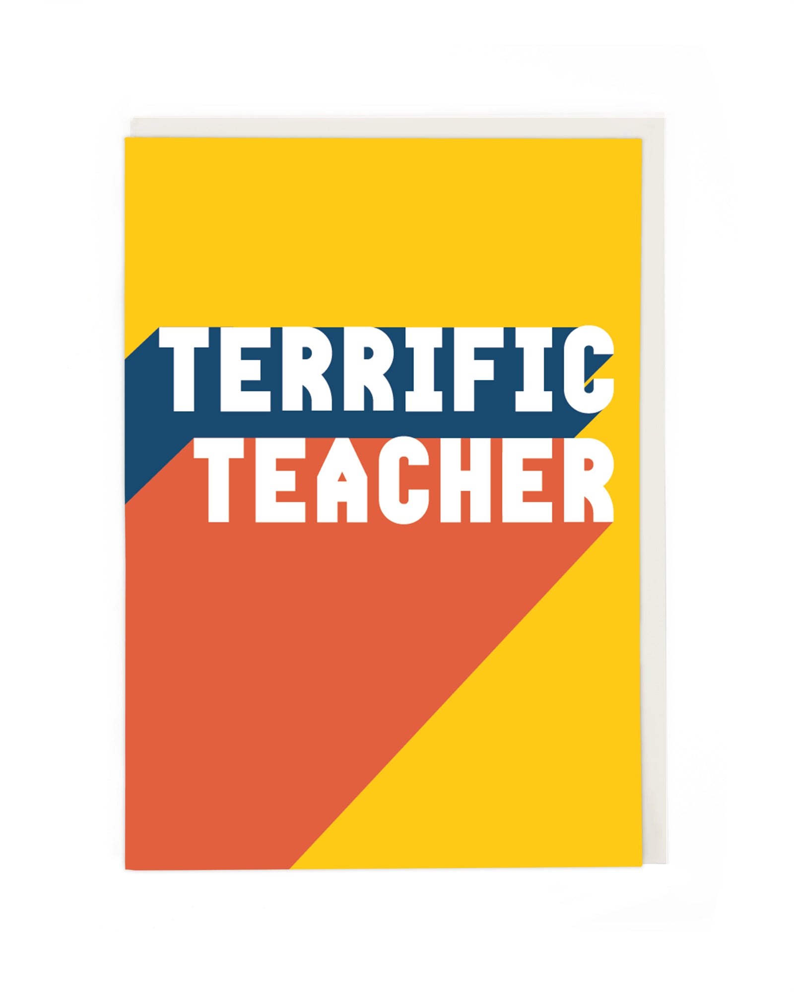 TERRIFIC TEACHER