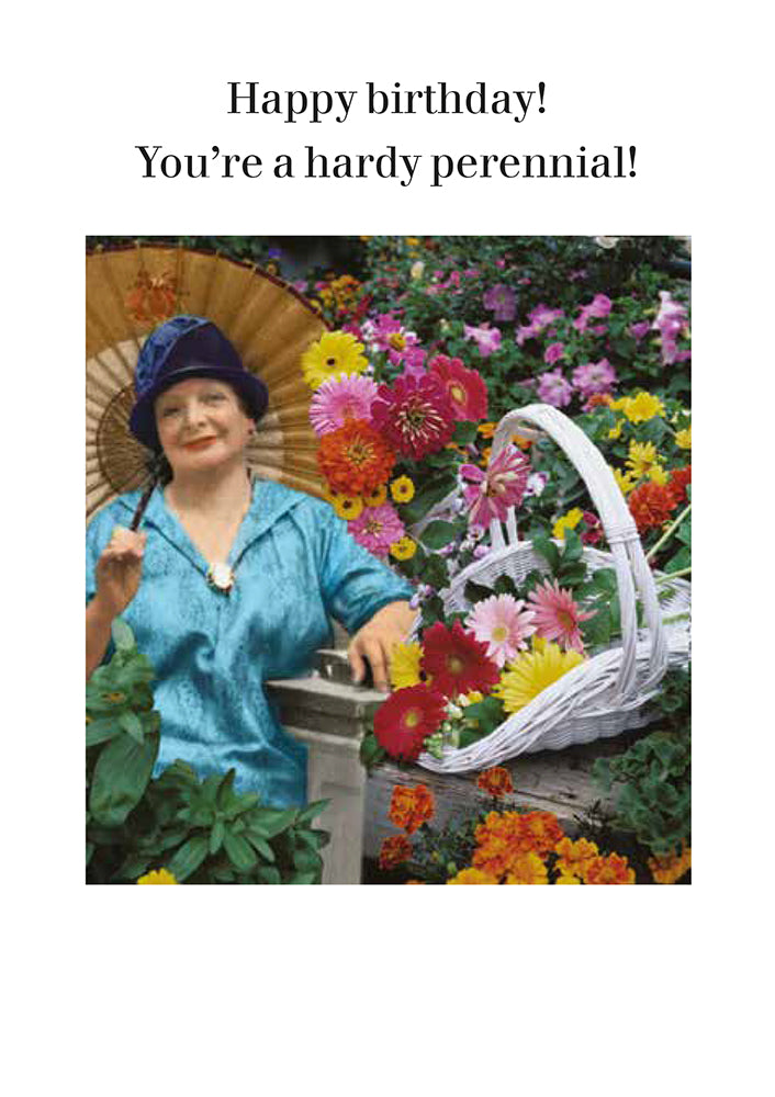 HARDY PERENNIAL