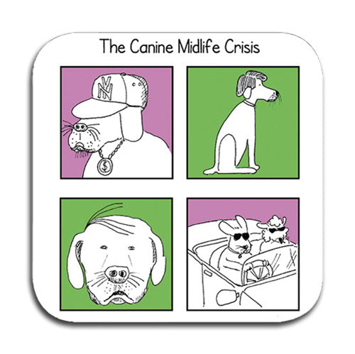 THE CANINE MIDLIFE CRISIS COASTER