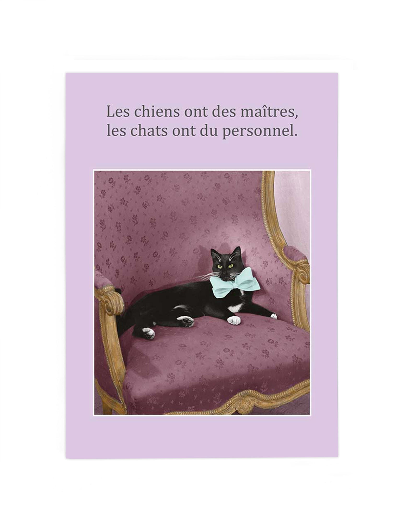 LES CHATS ONT DU PERSONNEL