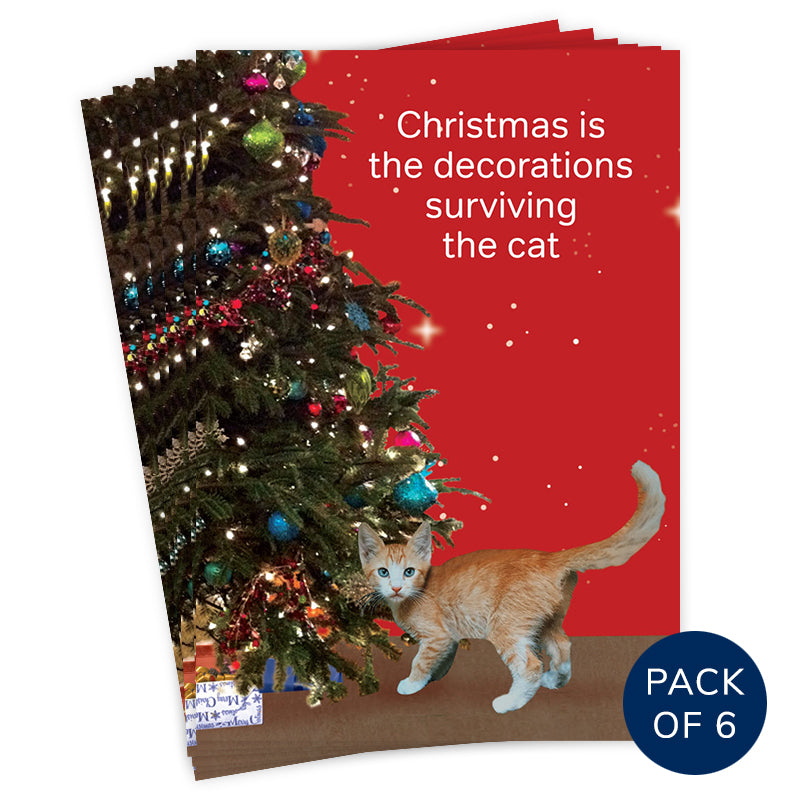 THE CAT (PACK OF 6)