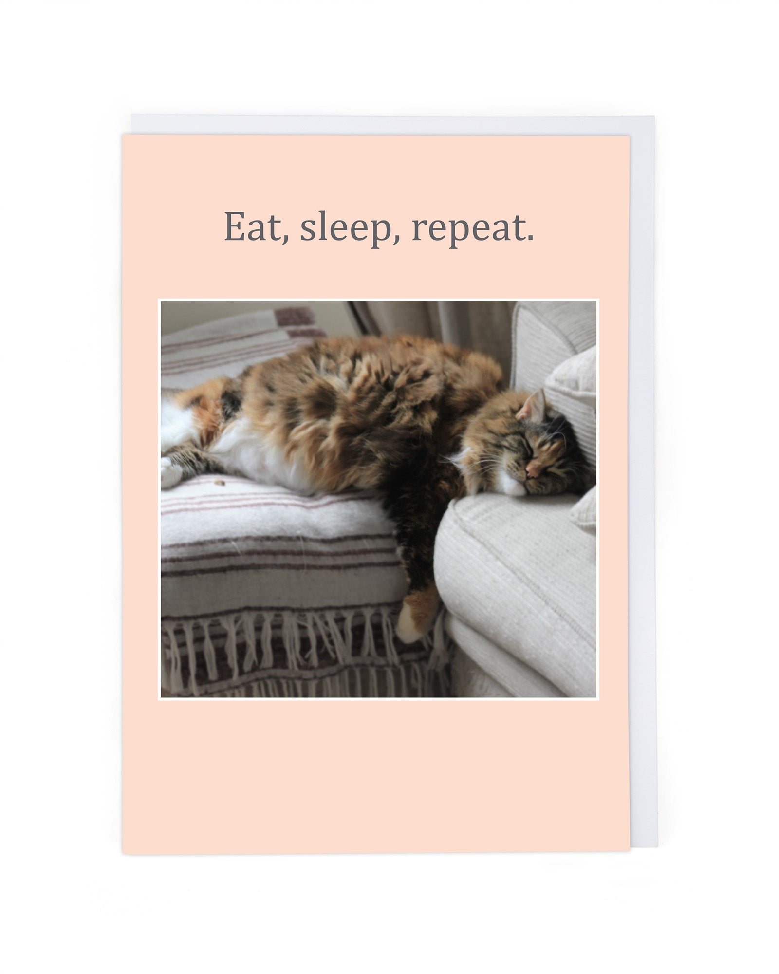 EAT, SLEEP, REPEAT