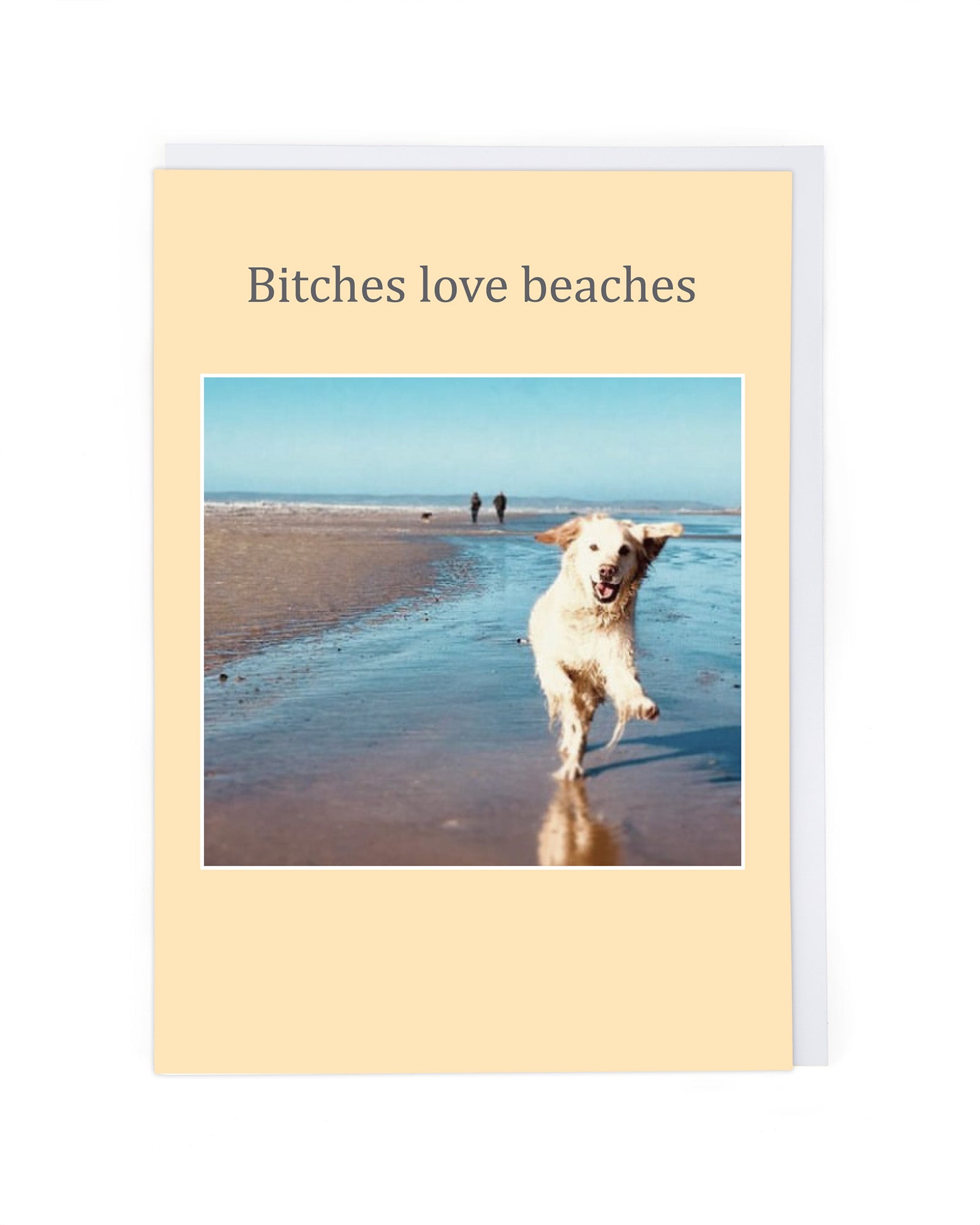 BITCHES LOVE BEACHES