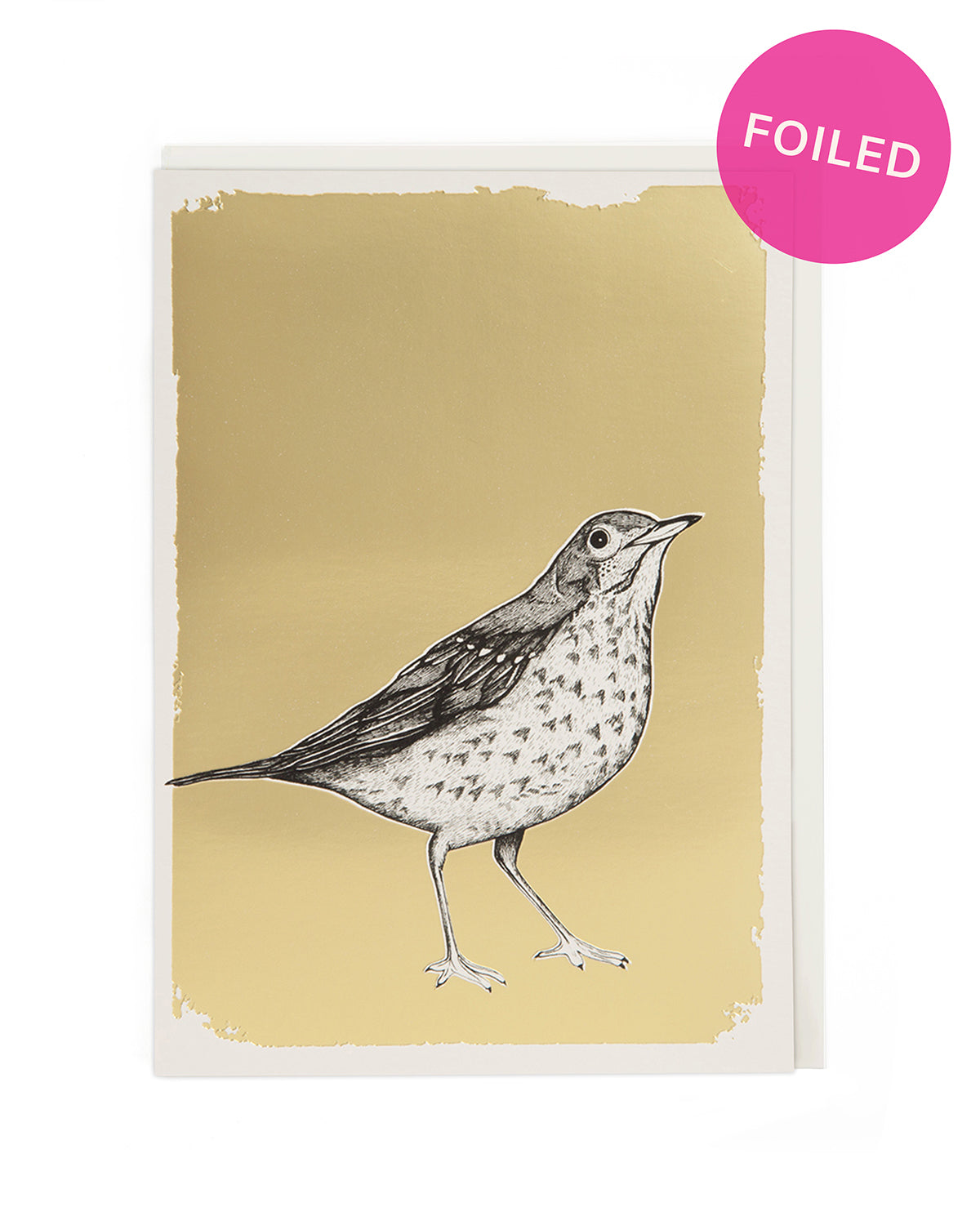 MISTLE THRUSH