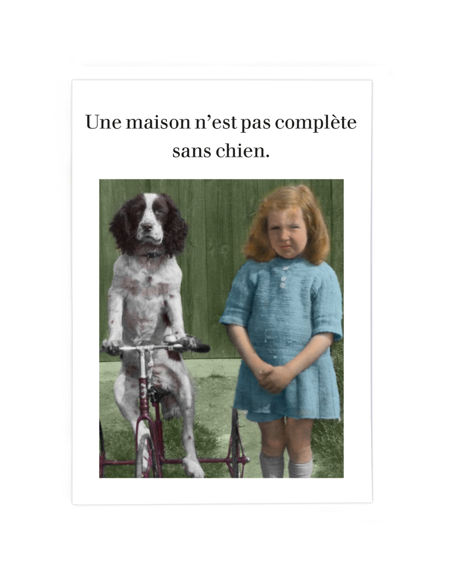 N’EST PAS COMPLÈTE SANS UN CHIEN