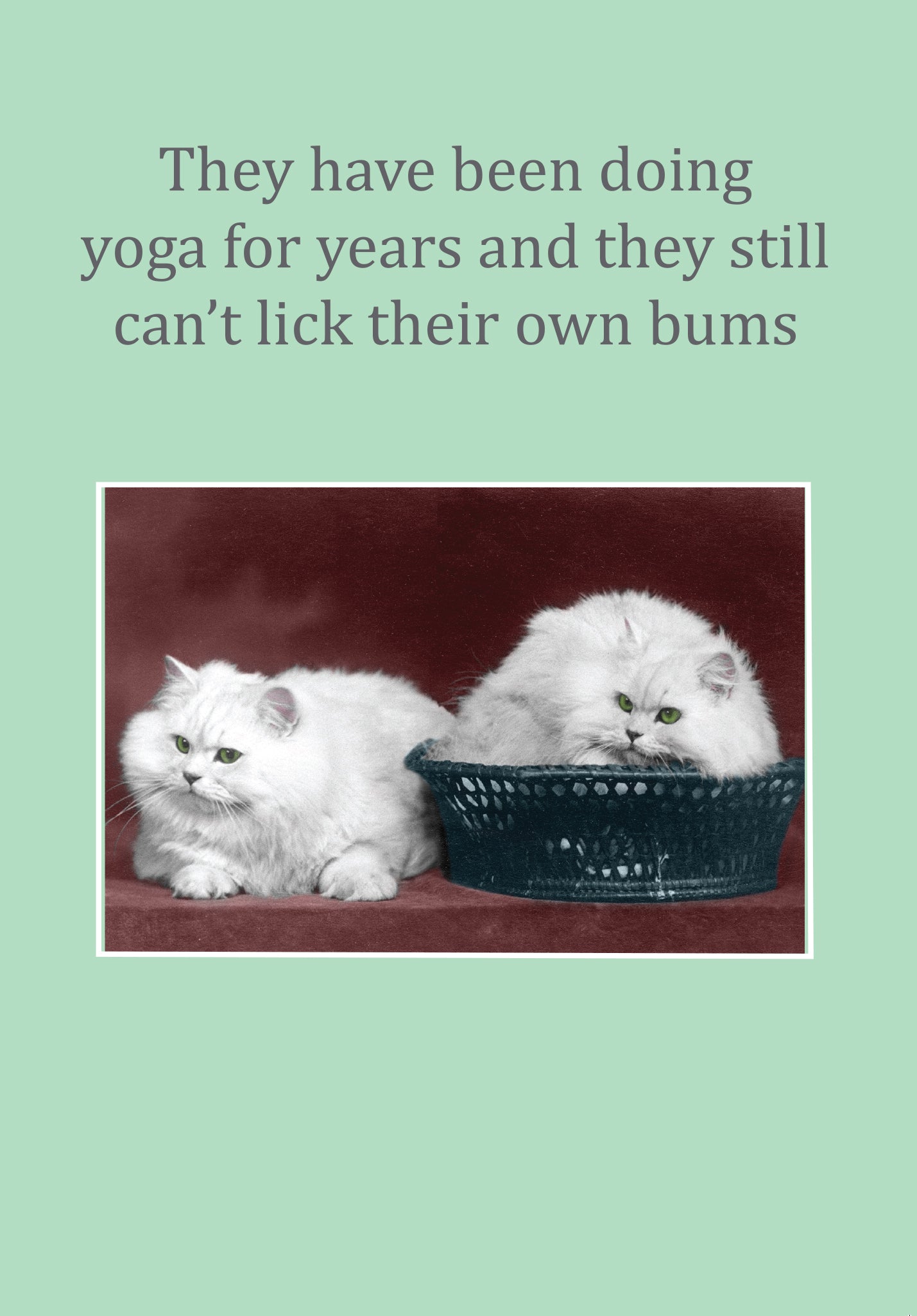 DOING YOGA FOR YEARS